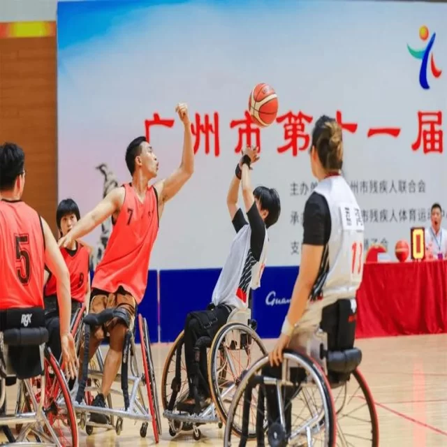 乒乓球冠军竞争格局的演变与数据视角深入分析